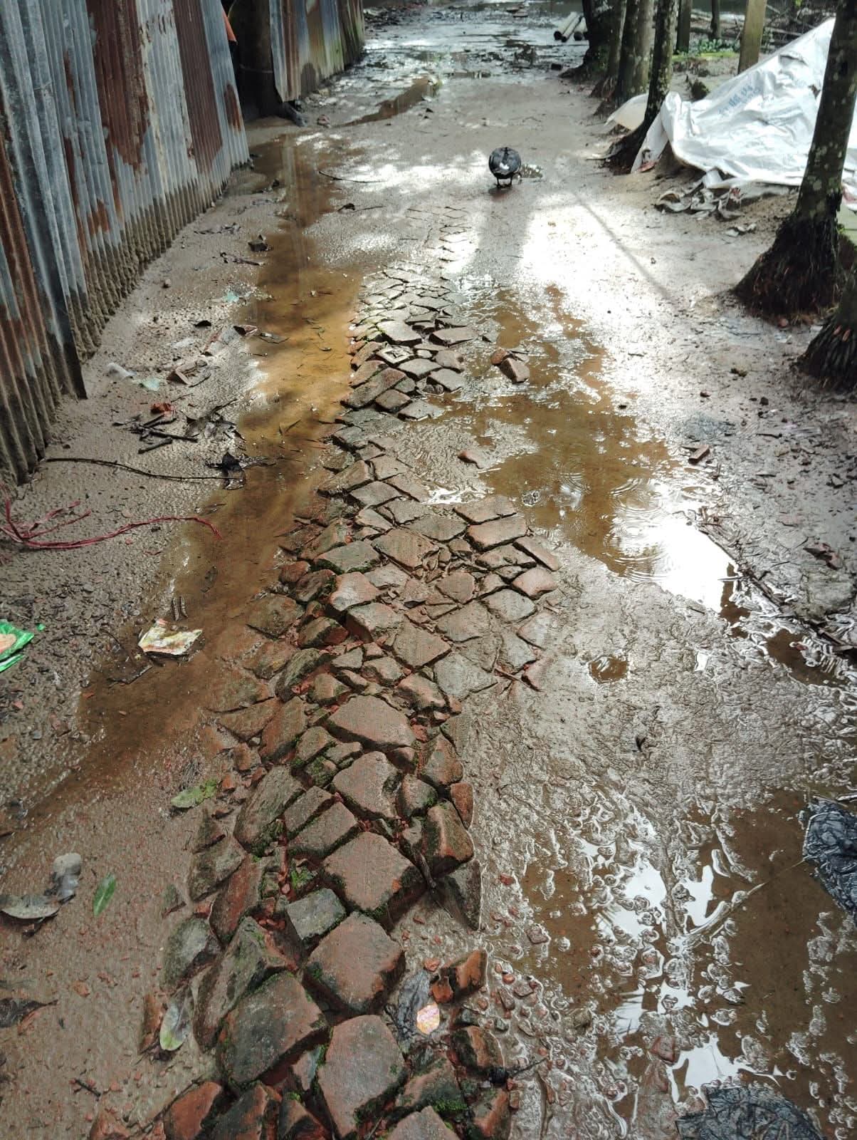 বোয়ালখালী পৌরসভার ২নং ওয়ার্ডে বেহাল সড়ক, মসজিদে যেতে চরম দুর্ভোগে মুসল্লিদের