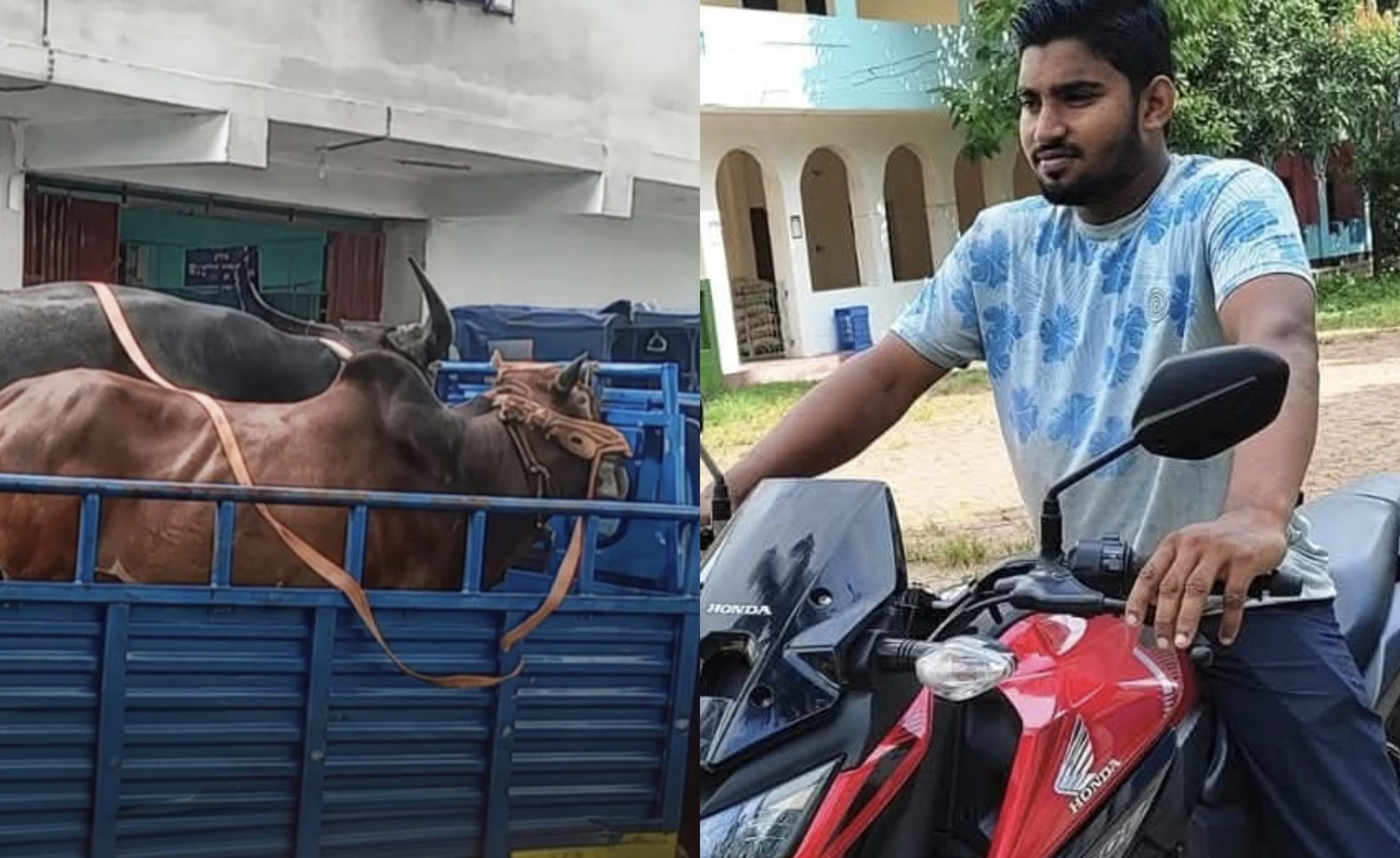 বোয়ালখালীতে দিনে মোটরসাইকেল গ্যারেজ, রাতে চুরির অভিযোগ! বসতঘরে মিলল চোরাই গরু-মহিষ, জব্দ মোটরসাইকেল